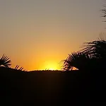 Lá Tropezina